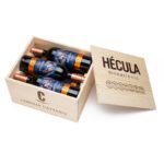 Holzkiste Hecula 6er